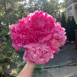 Meet your Posher, Wenwen